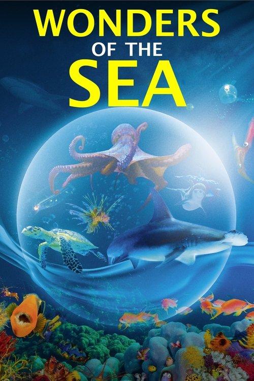 Wonders of the Sea 2017 official movie poster
