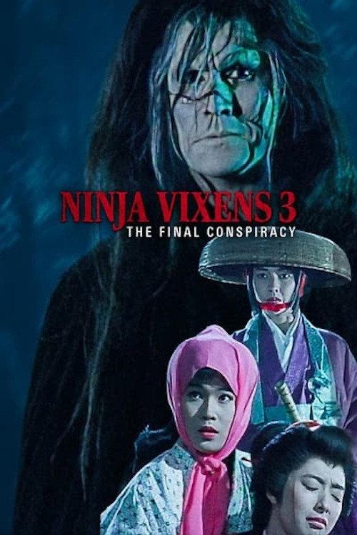 The Ninja Vixens III: The Final Conspiracy 1991 official movie poster