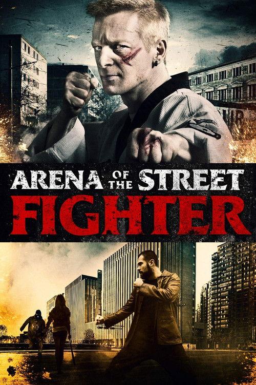 Arena of the Street Fighter 2012 official movie poster