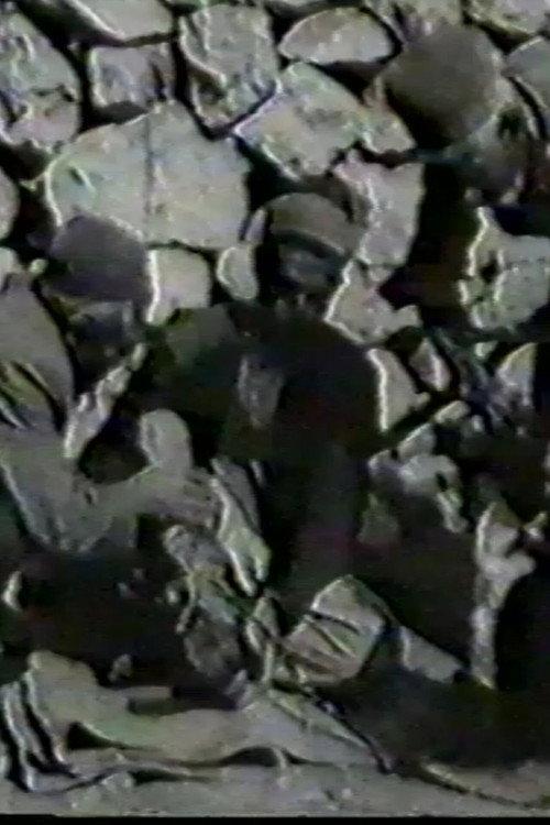 Acorn 1972 official movie poster