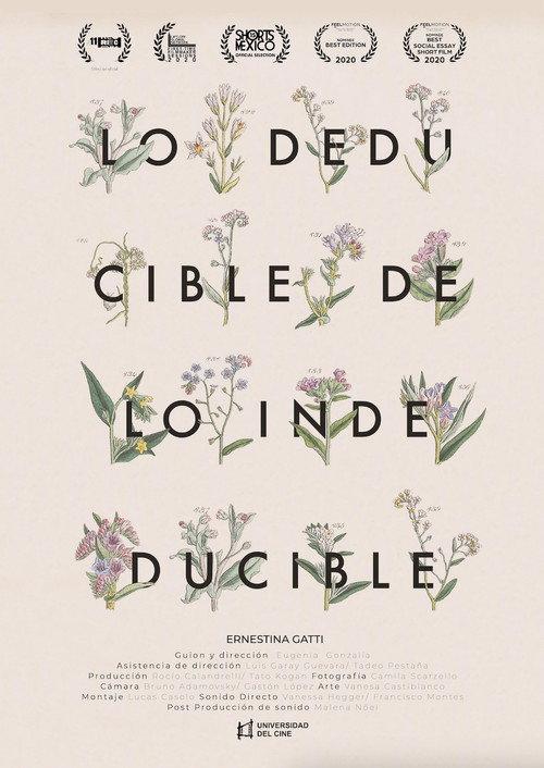 Lo deducible de lo indeducible  official movie poster