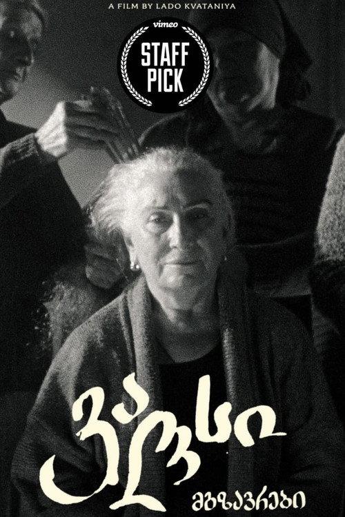 Mgzavrebi: Waltz 2023 official movie poster