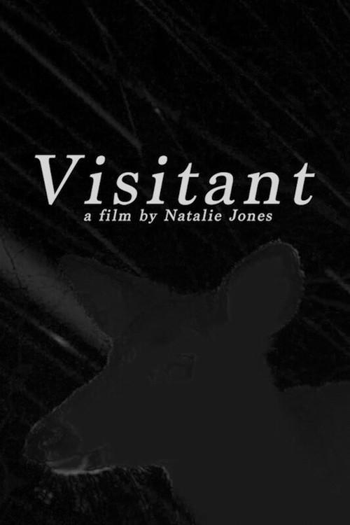 Visitant 2025 official movie poster