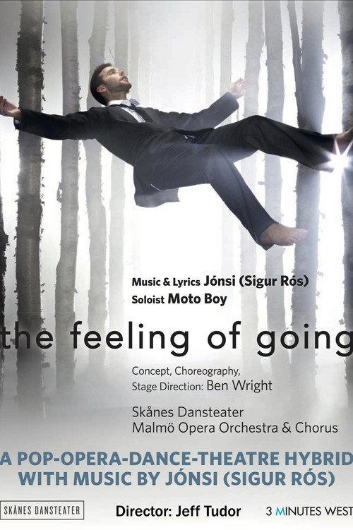 The Feeling of Going 2018 official movie poster
