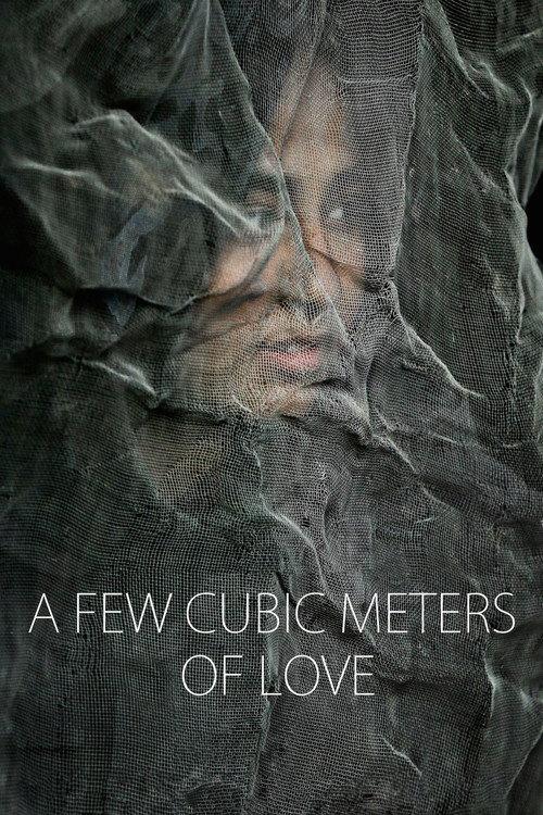 A Few Cubic Meters of Love 2014 official movie poster