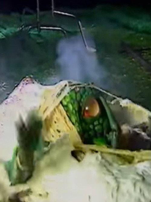 Videozone: The Making of Seedpeople 1992 official movie poster