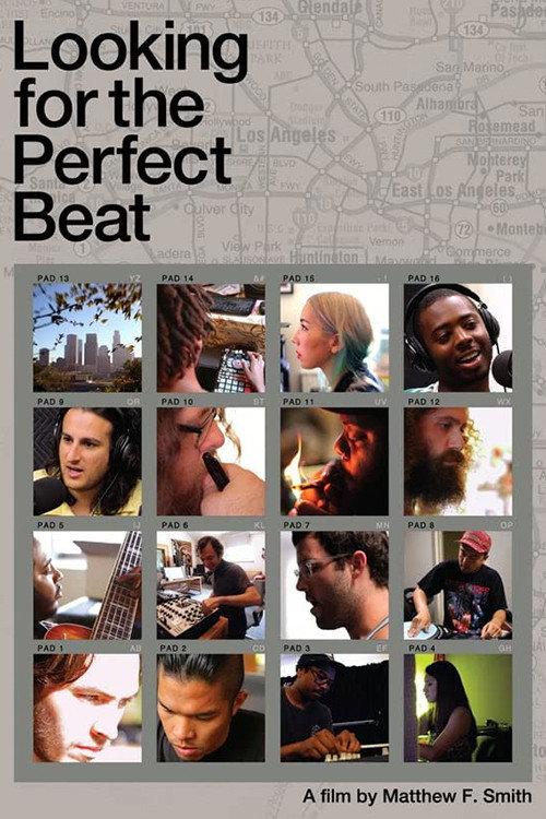 Looking for the Perfect Beat 2014 official movie poster