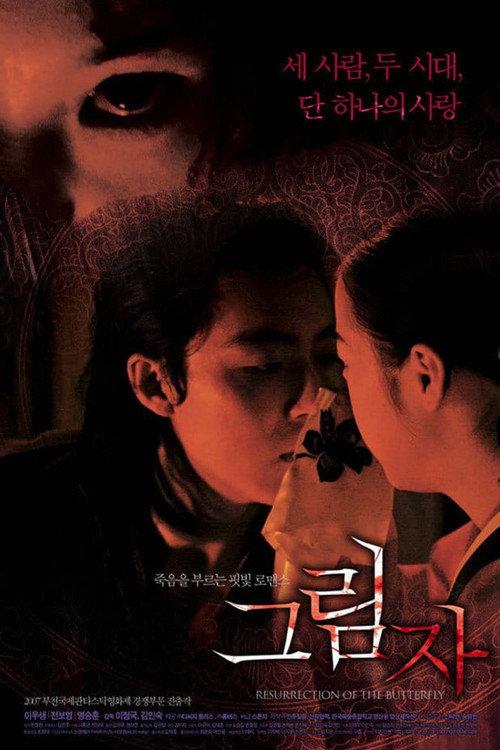 Resurrection of the Butterfly 2007 official movie poster