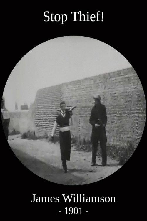 Stop Thief! 1901 official movie poster