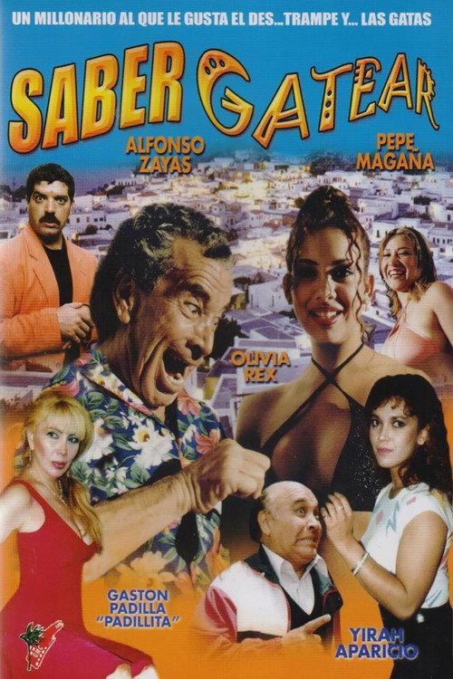 Saber gatear 1995 official movie poster