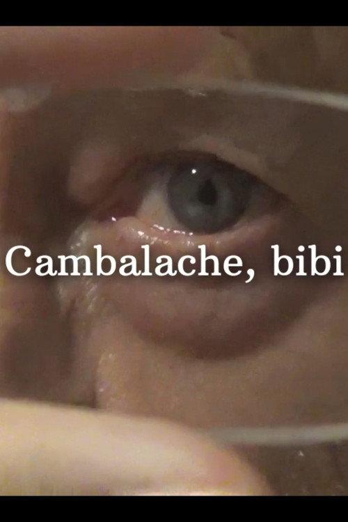 Cambalache, Bibi official movie poster