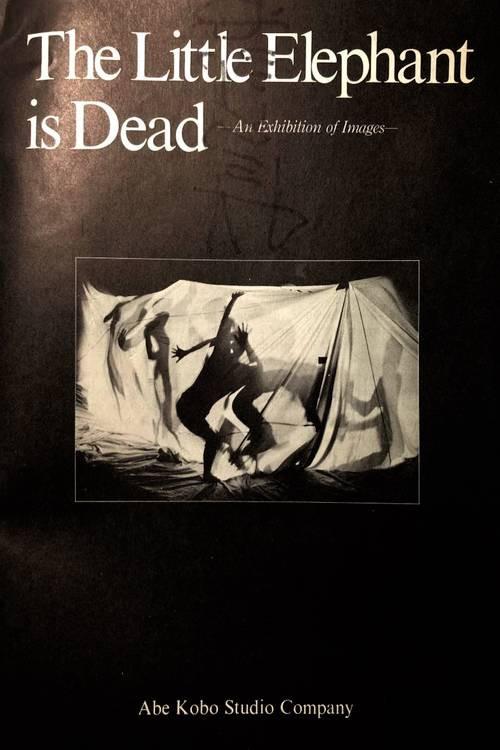 The Little Elephant is Dead / An Elephant Calf Is Dead 1980 official movie poster