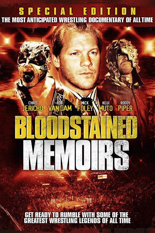 Bloodstained Memoirs 2009 official movie poster