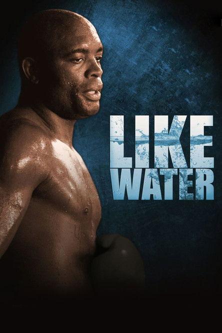 Anderson Silva: Like Water 2011 official movie poster
