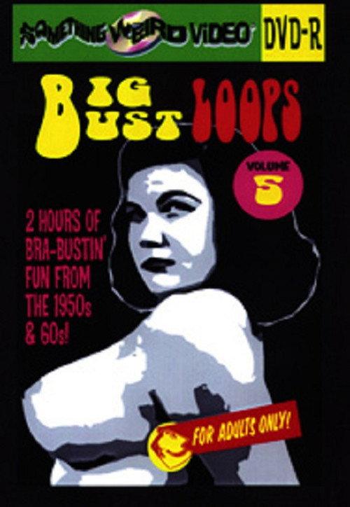 Big Bust Loops Volume 5 2009 official movie poster