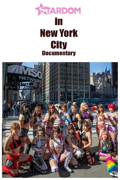 Stardom in NYC 2019 official movie poster