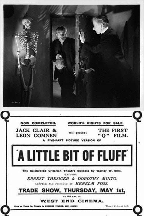 A Little Bit of Fluff 1919 official movie poster