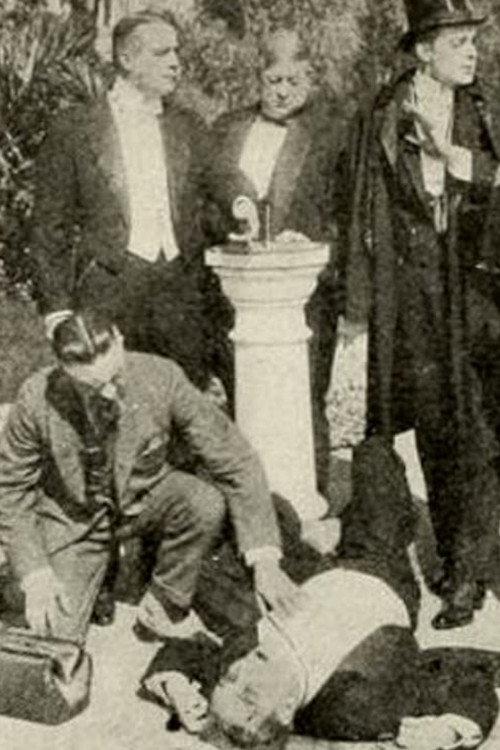 The Spider and Her Web 1914 official movie poster