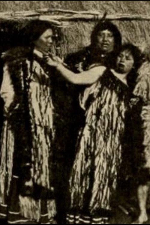 Loved by a Maori Chieftess 1913 official movie poster