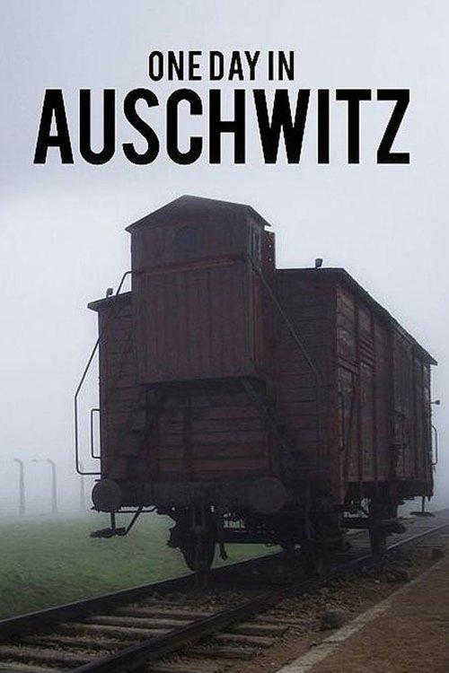 One Day in Auschwitz 2015 official movie poster