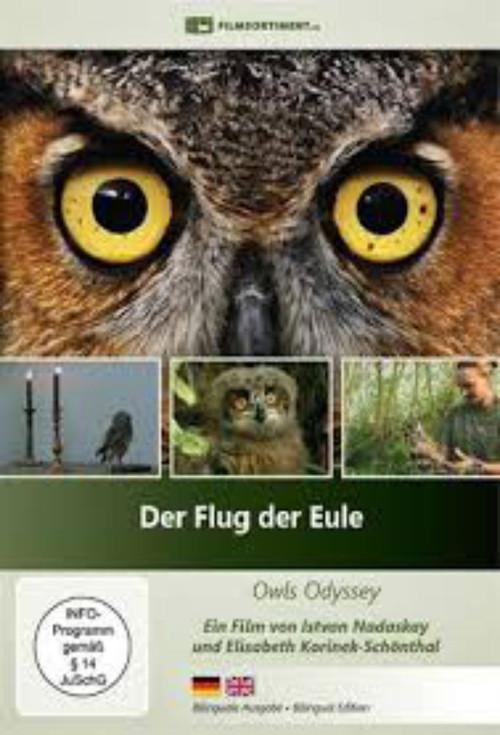 Der Flug der Eule 2013 official movie poster