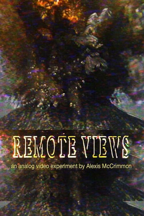 Remote Views 2025 official movie poster