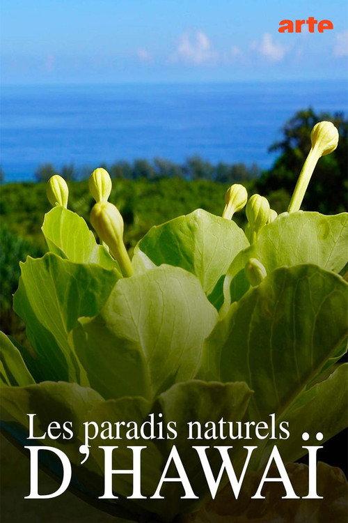 Hawaiis versteckte Paradiese 2022 official movie poster