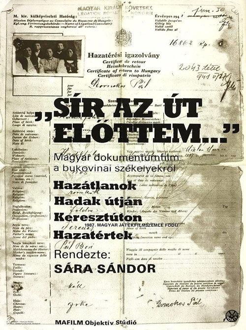 The Road Is Crying in Front of Me 1987 official movie poster