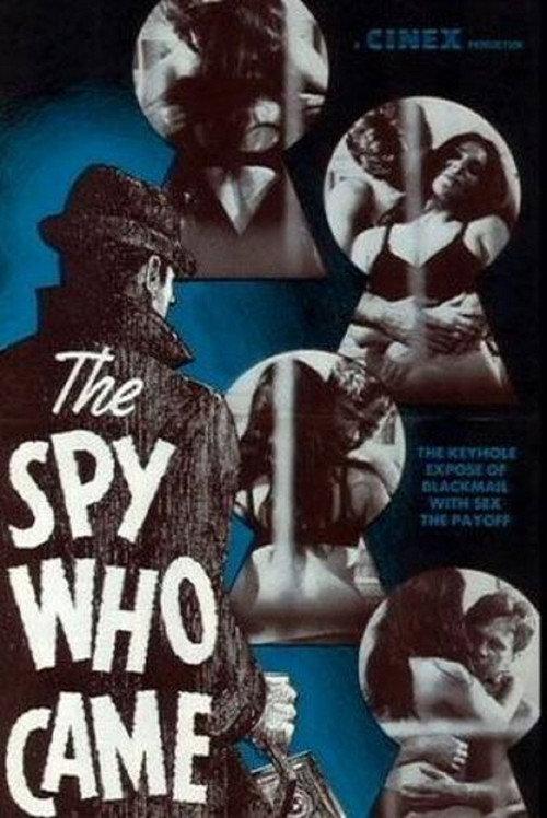 The Spy Who Came 1969 official movie poster