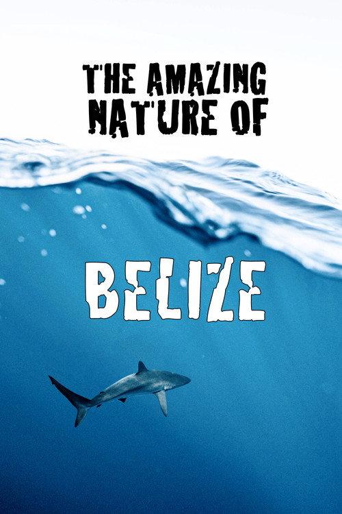 The Amazing Nature of Belize 2022 official movie poster