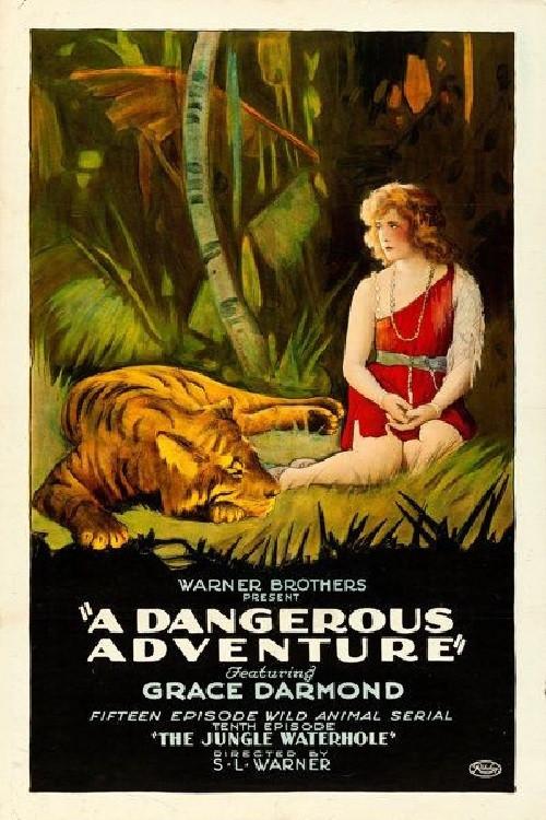 A Dangerous Adventure 1922 official movie poster