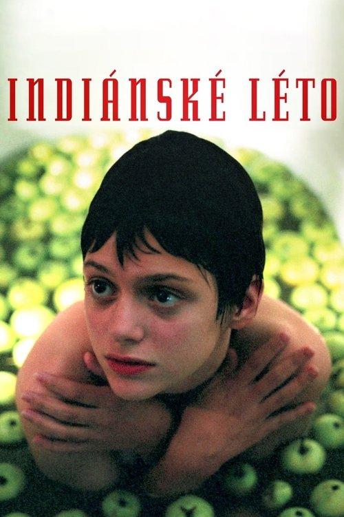 Indian Summer 1995 official movie poster