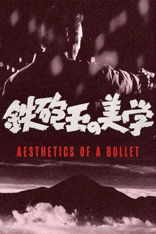 Aesthetics of a Bullet 1973 official movie poster