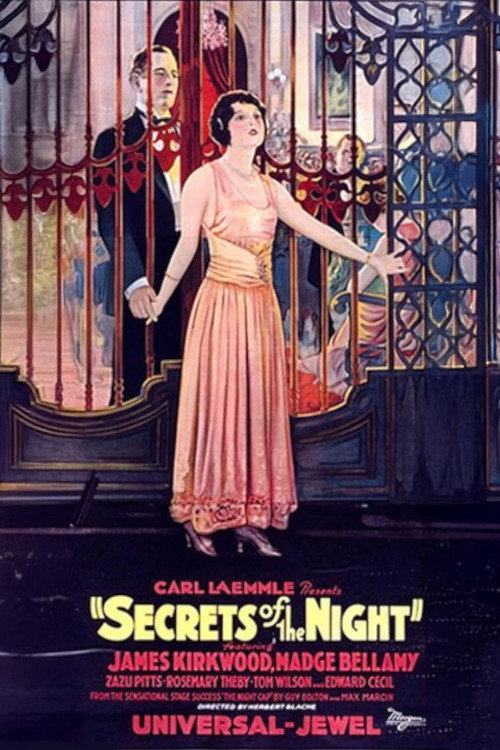 Secrets of the Night 1924 official movie poster