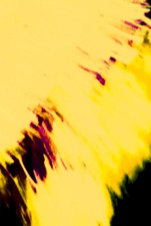 Ride The Spiral To The End 2025 official movie poster