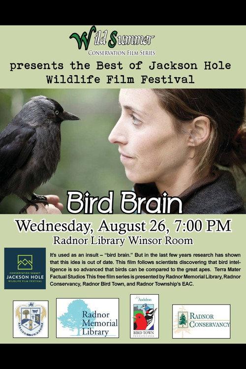 Bird Brain 2012 official movie poster