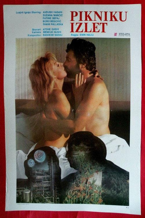 The Picnic 1986 official movie poster