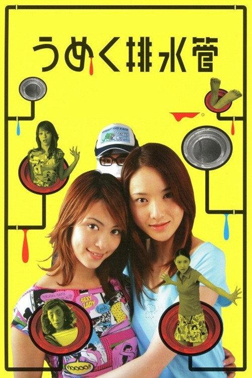 The Groaning Drain 2004 official movie poster