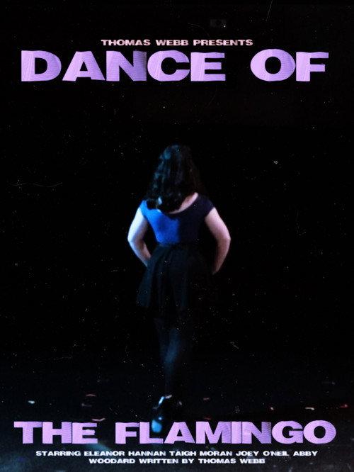 Dance of the Flamingo 2022 official movie poster