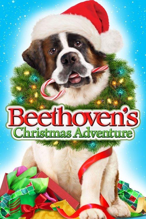 Beethoven's Christmas Adventure 2011 official movie poster