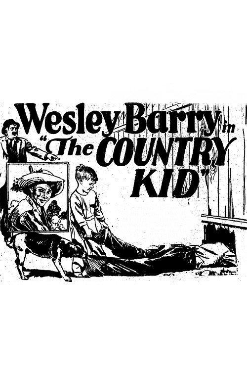 The Country Kid 1923 official movie poster