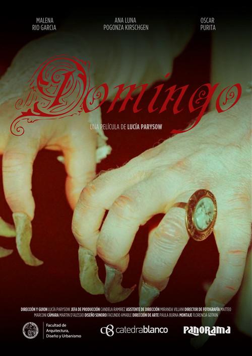 Domingo 2024 official movie poster