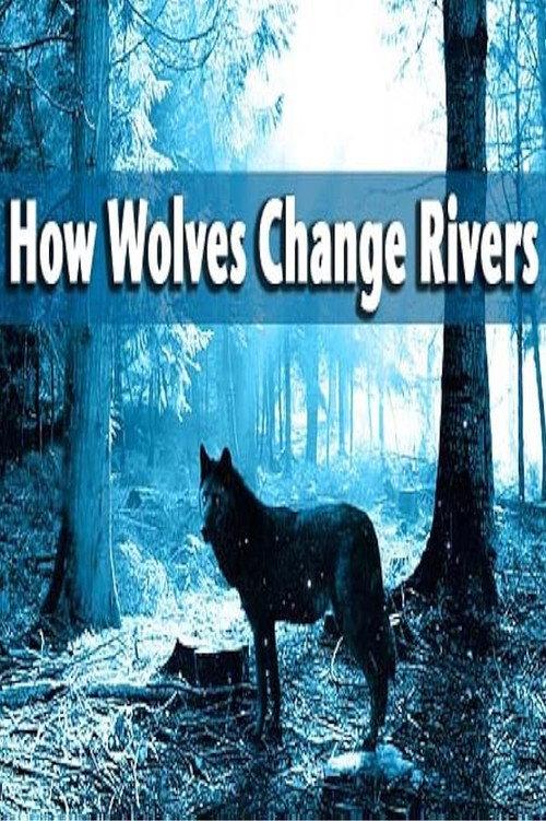 How Wolves Change Rivers 2014 official movie poster