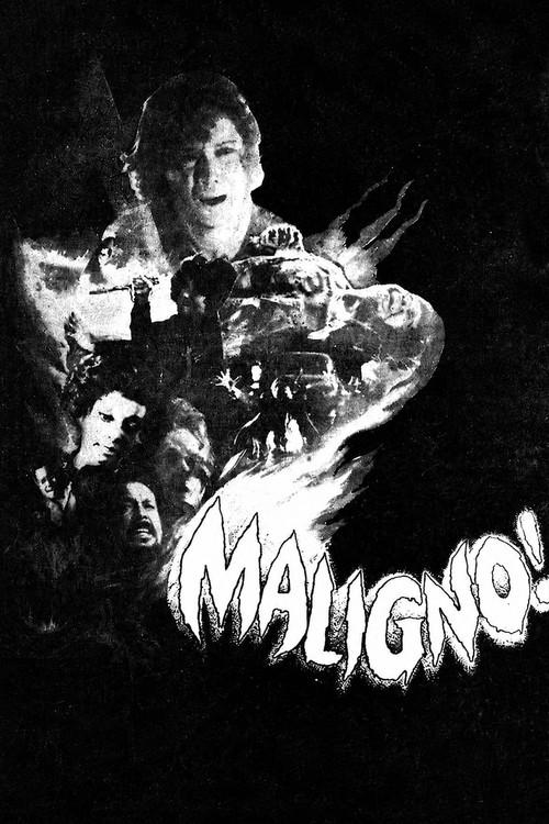 Satan's Seed 1977 official movie poster