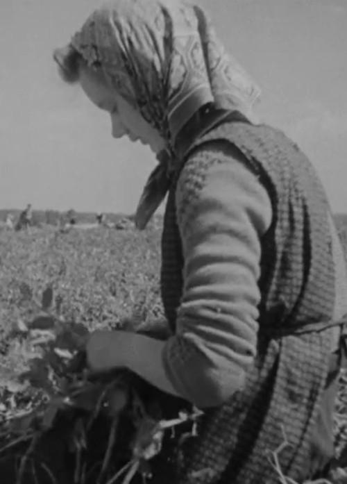 Over de jaargetijden heen 1949 official movie poster