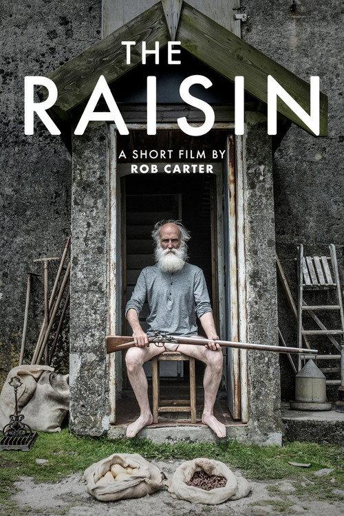 The Raisin 2017 official movie poster