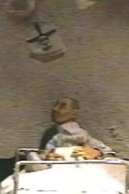 Megalomania of D 1998 official movie poster