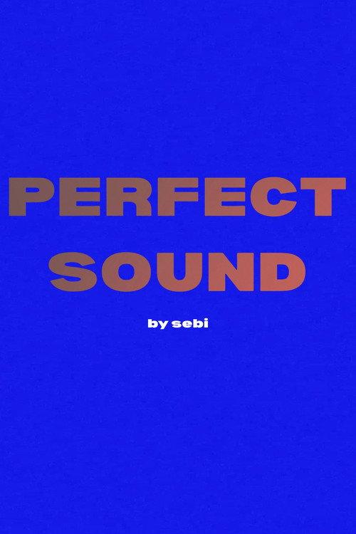 Perfect Sound 2025 official movie poster