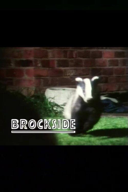 Brockside 1987 official movie poster