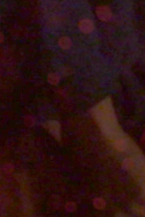 Seeing in the Dark 2026 official movie poster